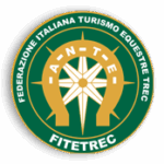 logo (1)