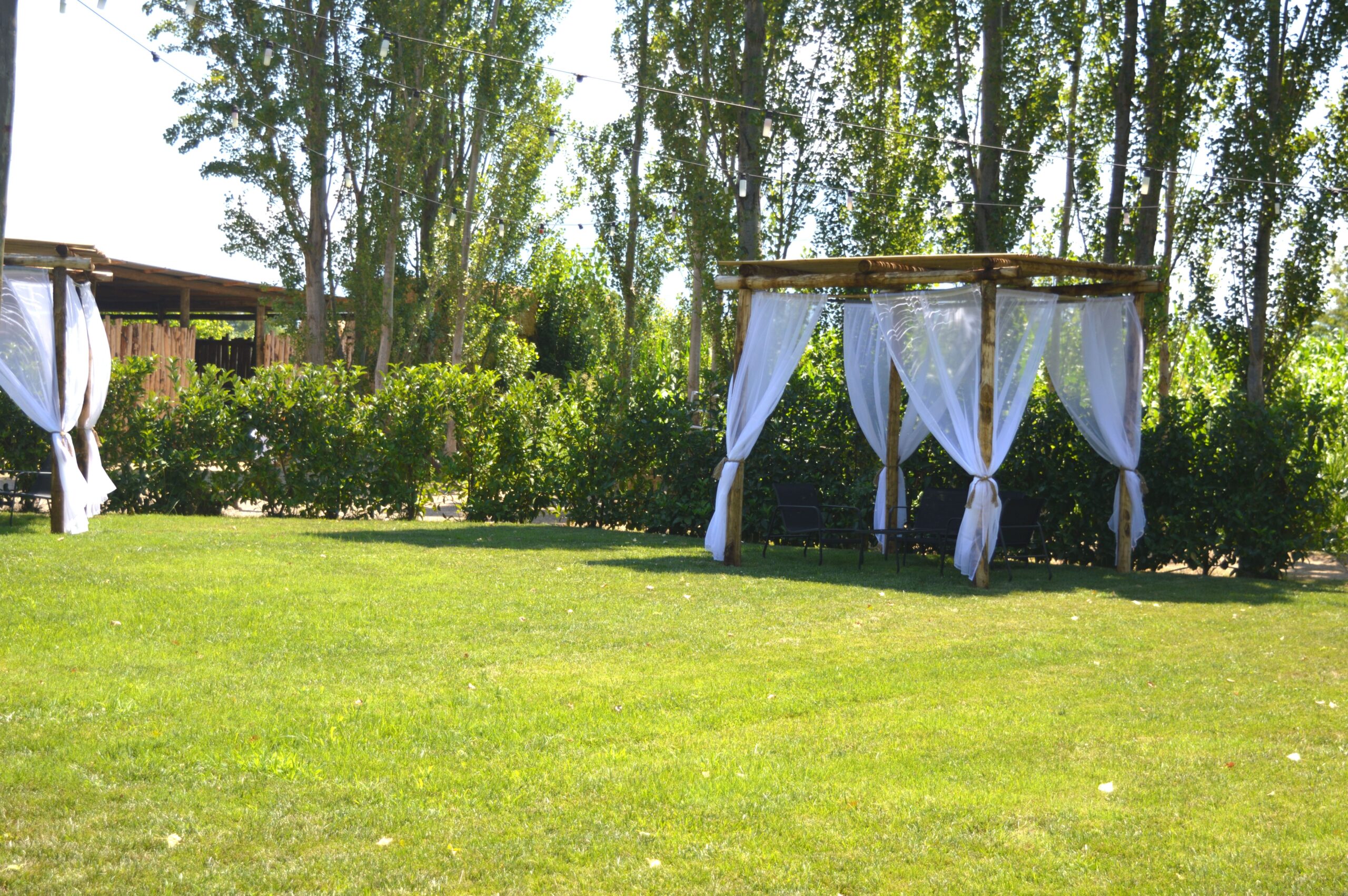 DSC_0948