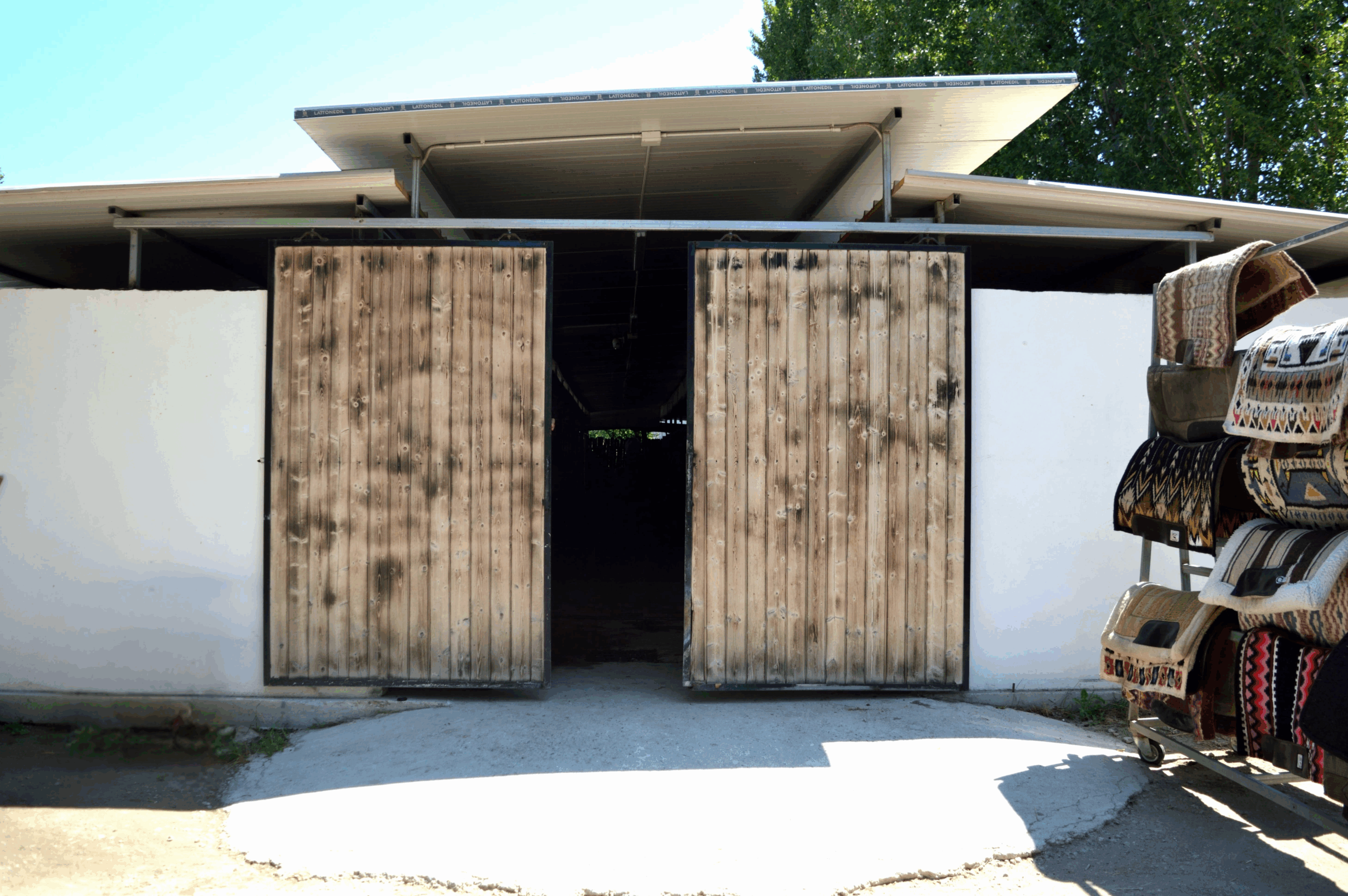Progetto senza titolo (10)