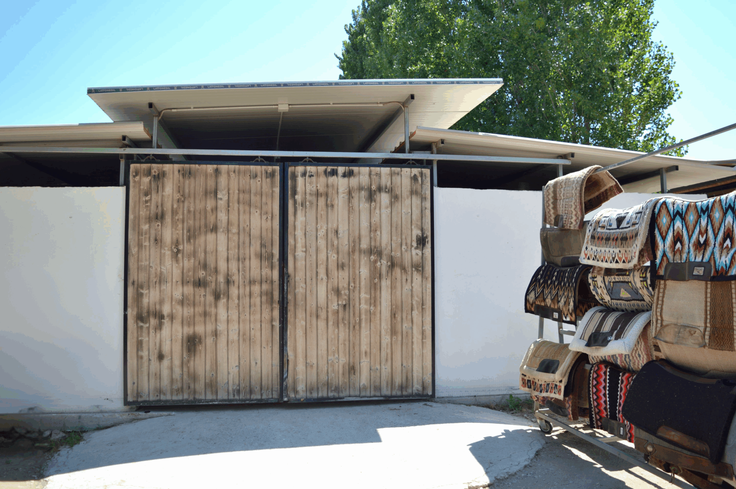 Progetto senza titolo (9)